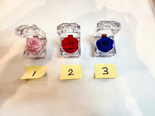 Eternal Rose in Ring Case